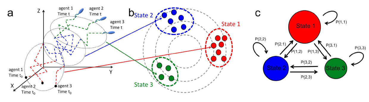 collective